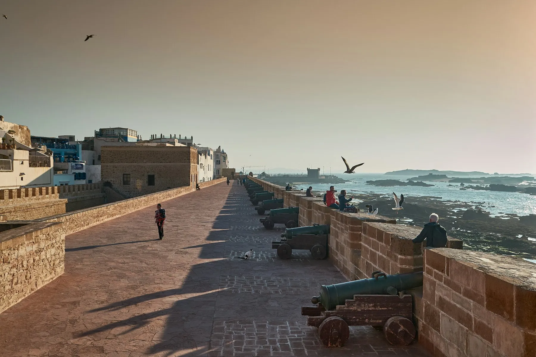 The ocean ramparts and old town of Essaouira at golden hour