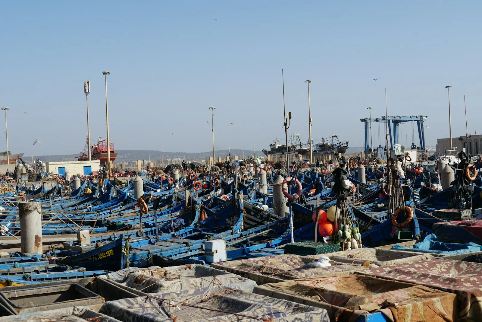 Rows of blue wooden fishing boats docked in an Essaouira harbour